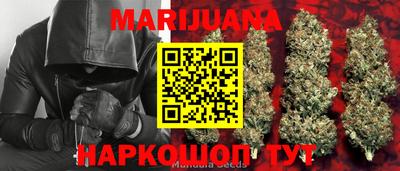 индика Пенза