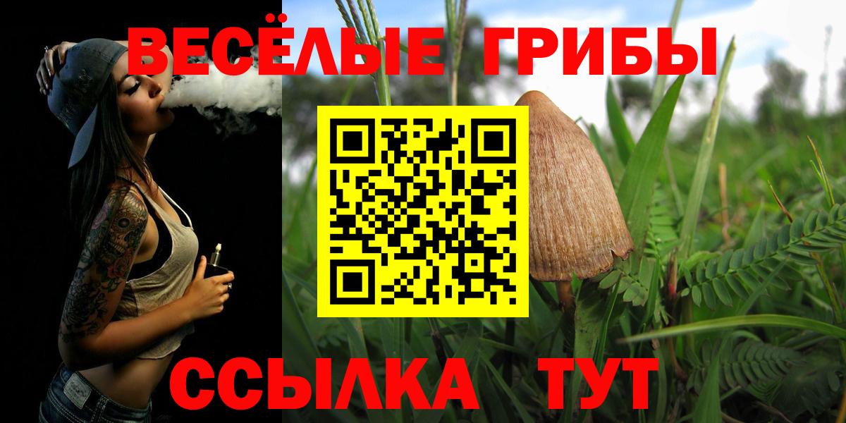 Псилоцибиновые грибы прущие грибы Усолье-Сибирское